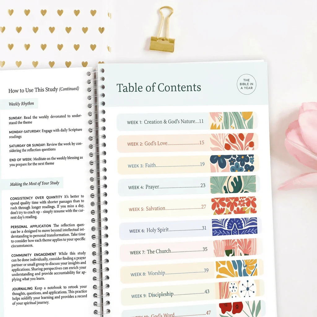 In Christ: The Bible in a Year