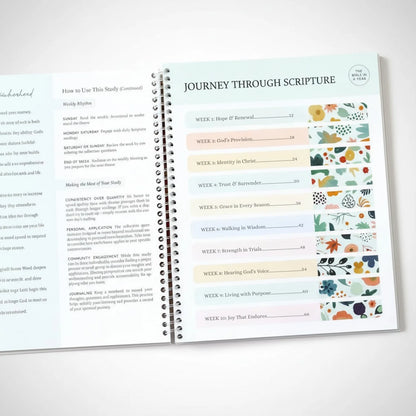 In Christ: The Bible in a Year